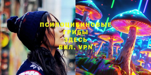 прущий лед Абаза