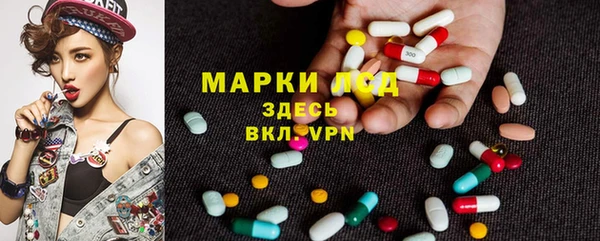 прущий лед Абаза