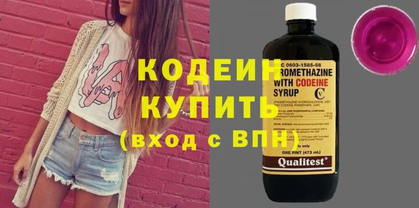 шишки Саяногорск