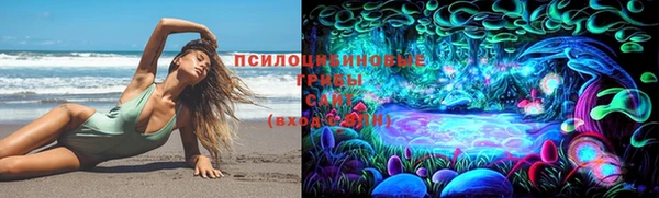 амф Абинск
