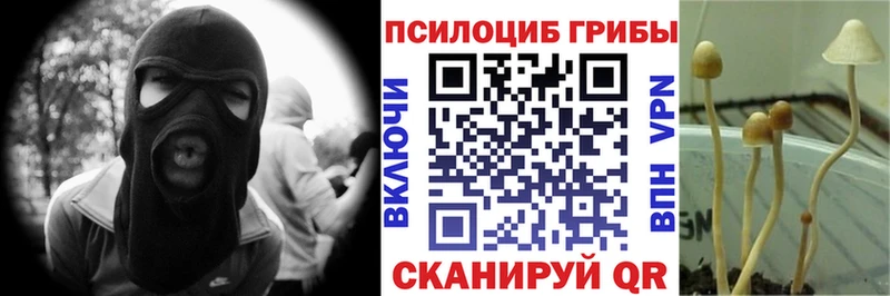 это состав  Мамоново  Псилоцибиновые грибы мицелий  где купить наркоту 