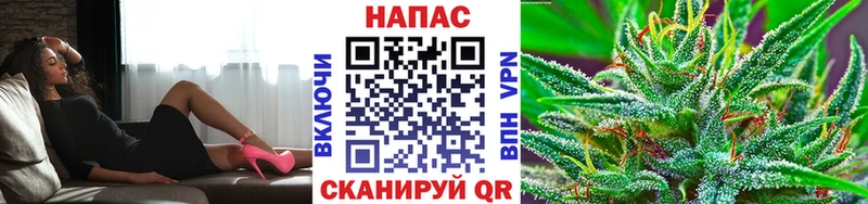 Канабис конопля  Мамоново 